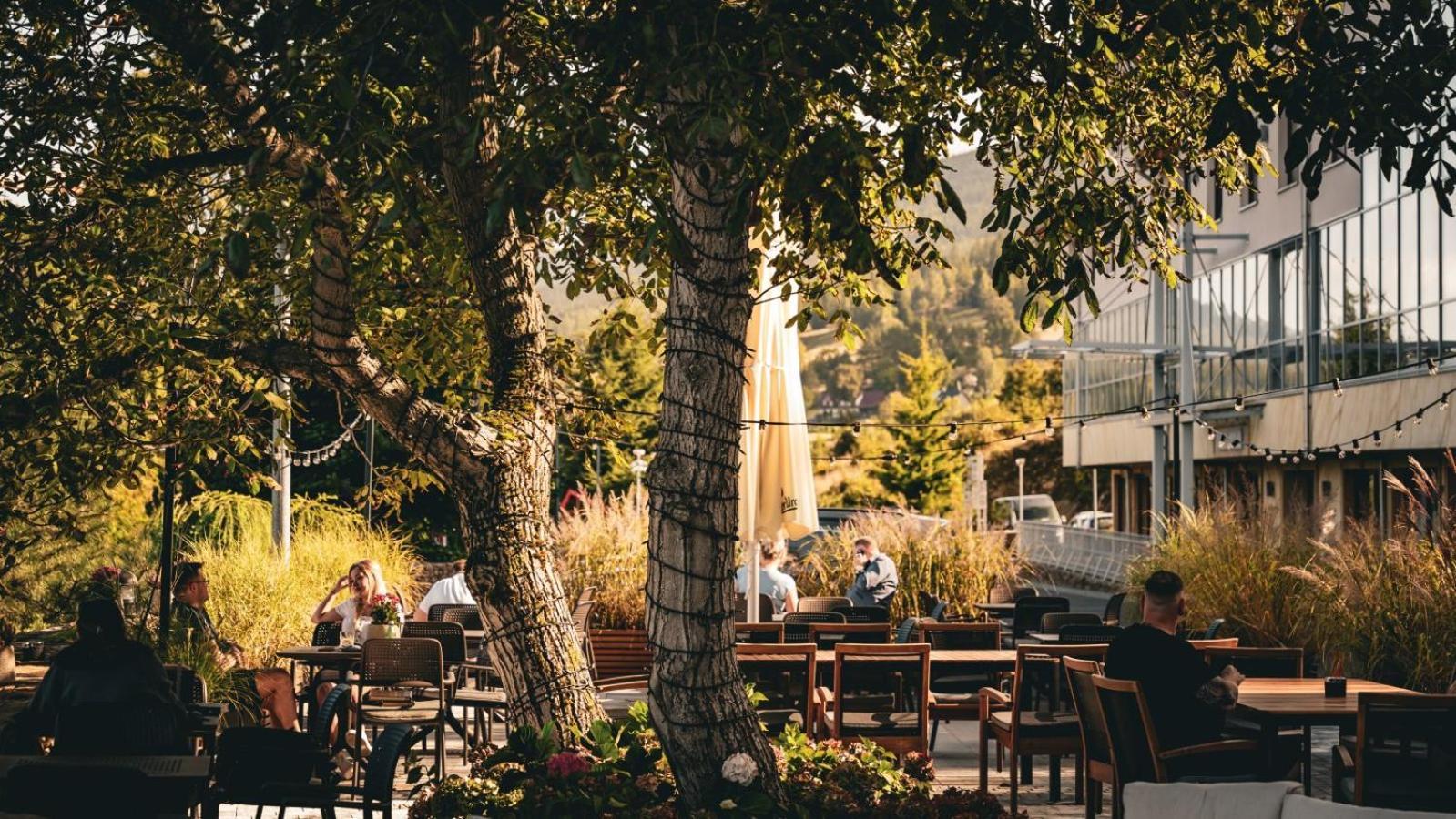 Hotel & Medi-Spa Bialy Kamien Świeradów-Zdrój Dış mekan fotoğraf